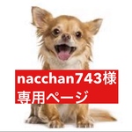 専用ページ