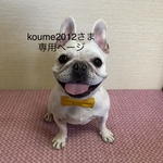 koume2012さま専用