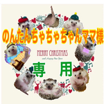 こちらはのんたんちゃちゃちゃんママ様専用