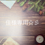 佳様専用☆彡