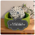 kohtaro0122様専用ページです
