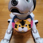 aibo(ERS-1000)用 スタイ （トラ柄）、尻尾リボン　セット