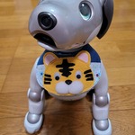 aibo(ERS-1000)用 スタイ （トラ柄）、尻尾リボン　セット