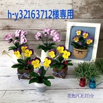 オーダー作品❤粘土の花＊ビオラ作品6点【1セット】