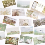 コラージュ シール 40枚set《green》[F297]