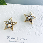 No.141  キラキラビジュー×スター小ぶりピアス／イヤリング  1000円以上送料無料！