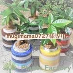 mugimama0727専用の商品ページです♡