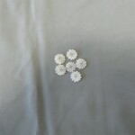 白蝶シェルパーツ　花びら　※2個入り