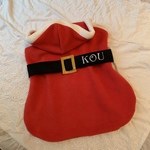 コーギー　お名前いり　クリスマス　サンタ服