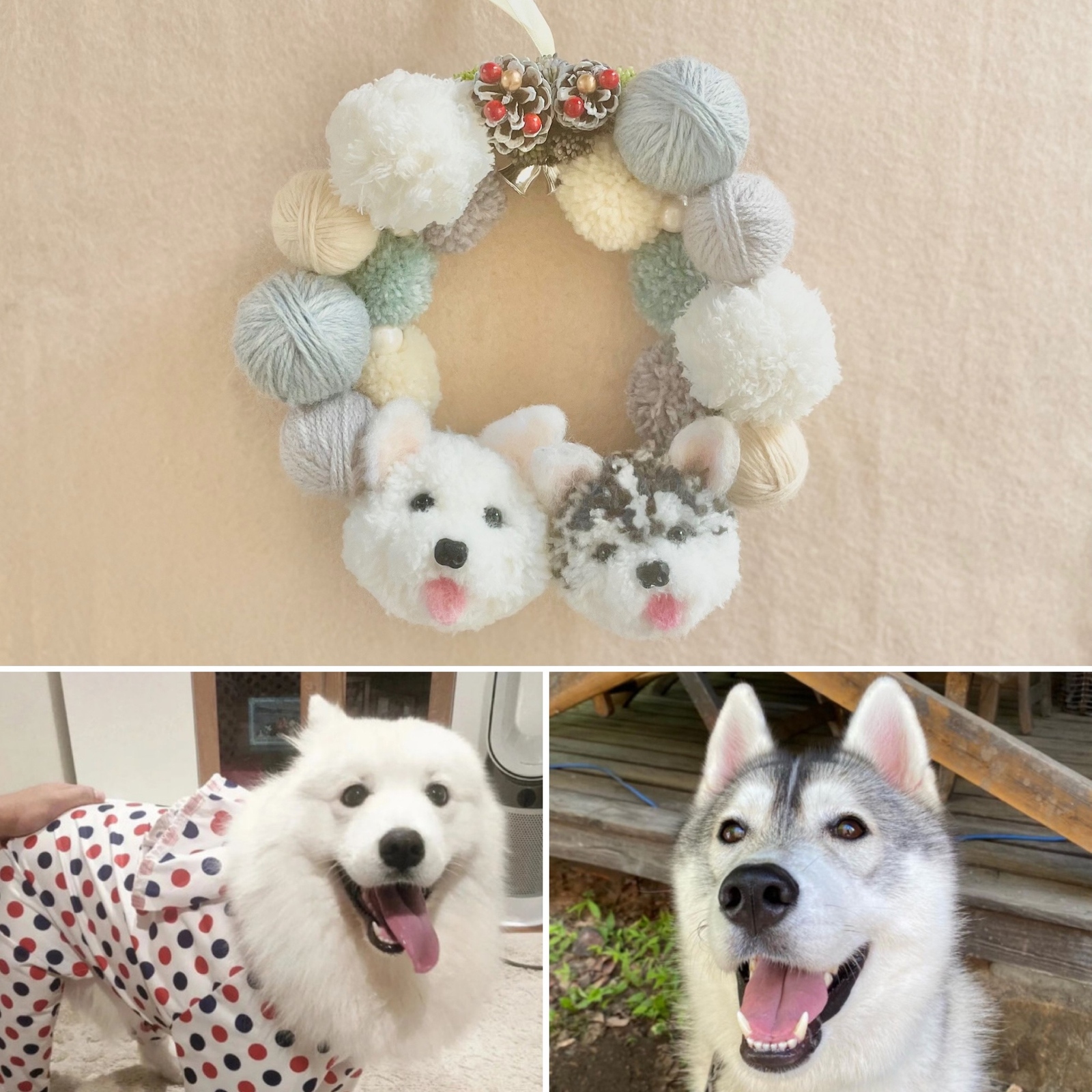 わんこのうちの子ぽんぽんリース（毛糸玉タイプ） 犬 ヨークシャテリア 