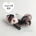 vega-a様専用 羊毛フェルトまるっこうさぎのブローチ&クリップset