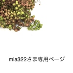 mia 322さま専用ページ