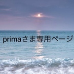 専用ページ