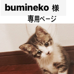 お客様専用ページ