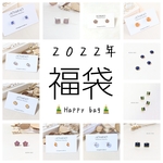 サージカルステンレス\福袋/小ぶりピアス/イヤリング　２０２２年 　送料無料
