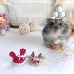 クリスマスセット