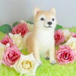 羊毛フェルト 小さな柴犬