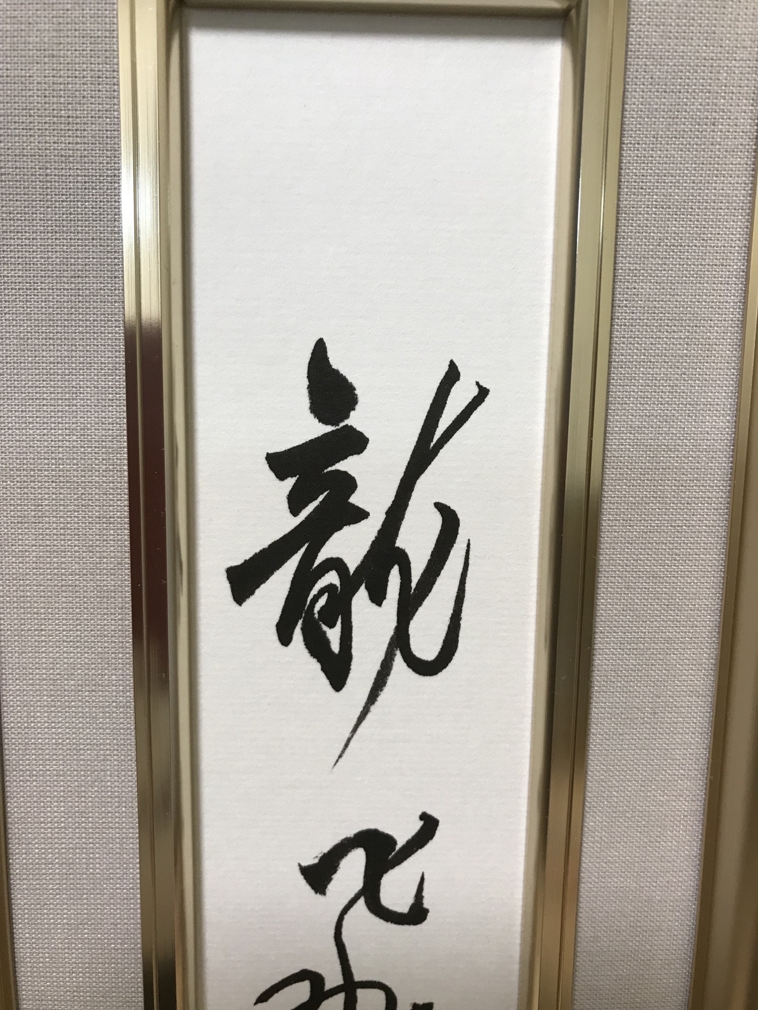 短冊 龍飛鳳舞 直筆 短冊のみの販売です❗️ - のめりこんだら