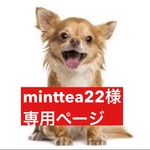 専用ページ