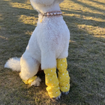 犬用汚れ防止カバー　ブレスカバー　足カバー　あしカバー　大型犬　スタンダードプードル