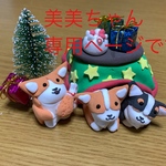 美美ちゃん専用ページです