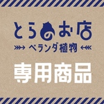 19750203sayo様専用商品