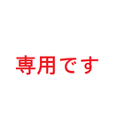 専用です  A4サイズ　刺しゅう  命名書 オーダー