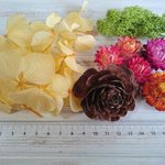 自然素材　プリザ紫陽花とドライのセット　SD:0025