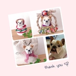 b2mama 様専用♡数量限定！3作品セット『うちの子オーダー』(mii wool&wool)