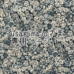 usagimajoさま専用ページ【リバティ＊bonbonトランク】