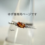 ゆず様専用購入ページです。他の方は購入いただけません、