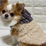  犬服!!ふわもこグリーンミックスボーダー☆XS.S.M.DXS.DS.DM