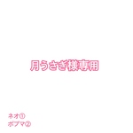 月うさぎ様専用