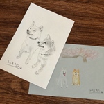 ウチノコスケッチ☆まさる様