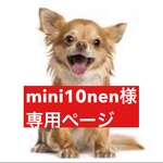 専用ページ