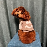 犬服！ニコちゃん☺︎トレーナー　ブラウン☆XS.S.M.DXS.DS.DM