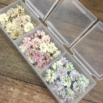 かすみ草　ドライフラワー　お試しmix 