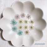 【NO.4 押し花素材】レースフラワー  ミックス 13輪