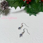 送料無料☆星♡X’mas☆ヘマタイト 小粒ピアス 天然石（イヤリング変更可）アレルギー対応　サージカルステンレス