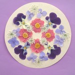 押し花セットD＜組み立ての花＆レースフラワー＆ビオラ＆あじさい＞