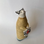 ズラ猫　見つめる