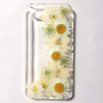 白いお花の押し花iPhoneケース 6.6s専用