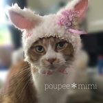 アートフラワーなフェネックちゃん