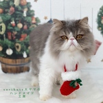 🎄サンタブーツポシェット🎄　赤❤️