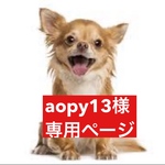 専用ページ