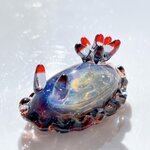 U195　宇宙を宿すガラスのウミウシ［赤］