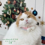 パール付き✨クリスマスチョーカー🎄　🎀ピンクリボン🎀