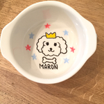 似顔絵 犬の名前入りエサ入れ＊カラフルオーダー皿＊