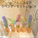 ミニコルク ラベンダー8個セット♡