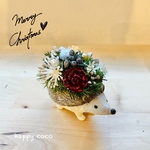 《🎄新作🎄》 クリスマス限定🎄＊＊ハリネズミ🦔フラワーポットmini＊。・＊
